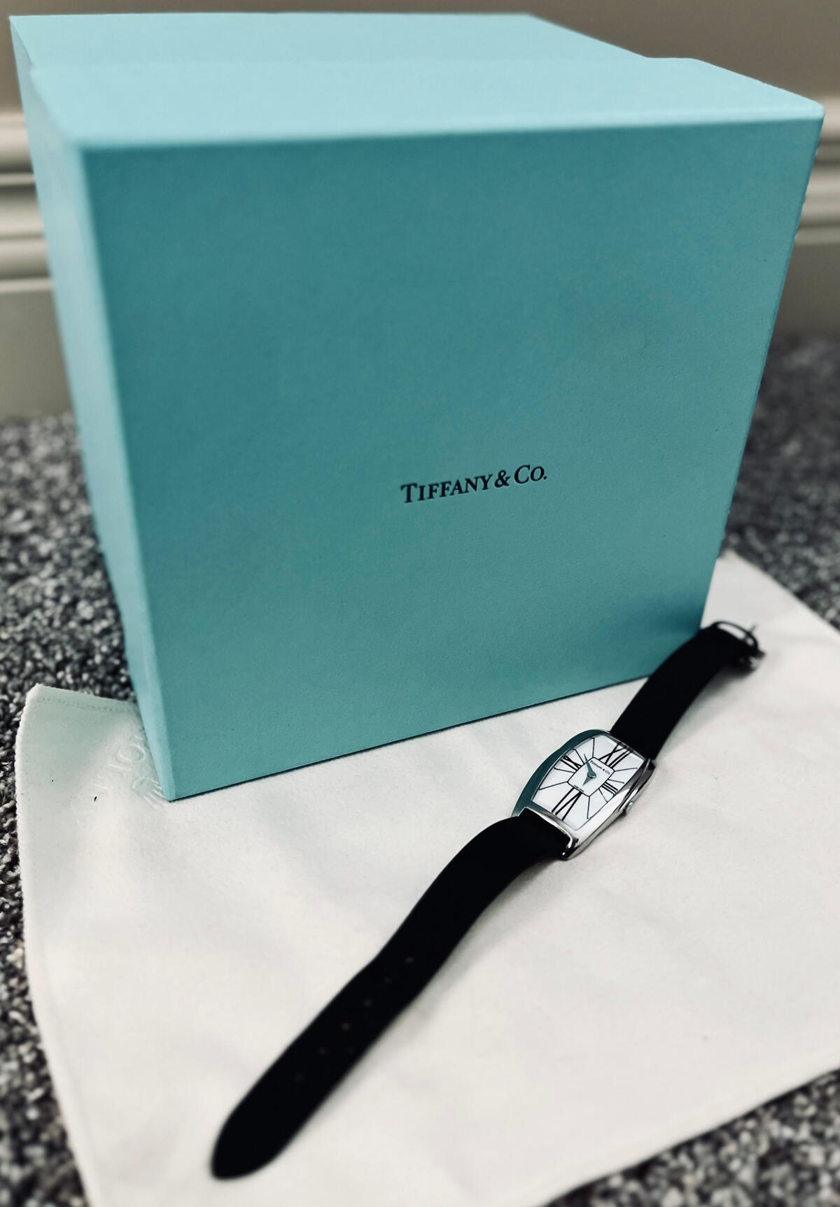 Tiffany & Co. Gemea Steel Watch