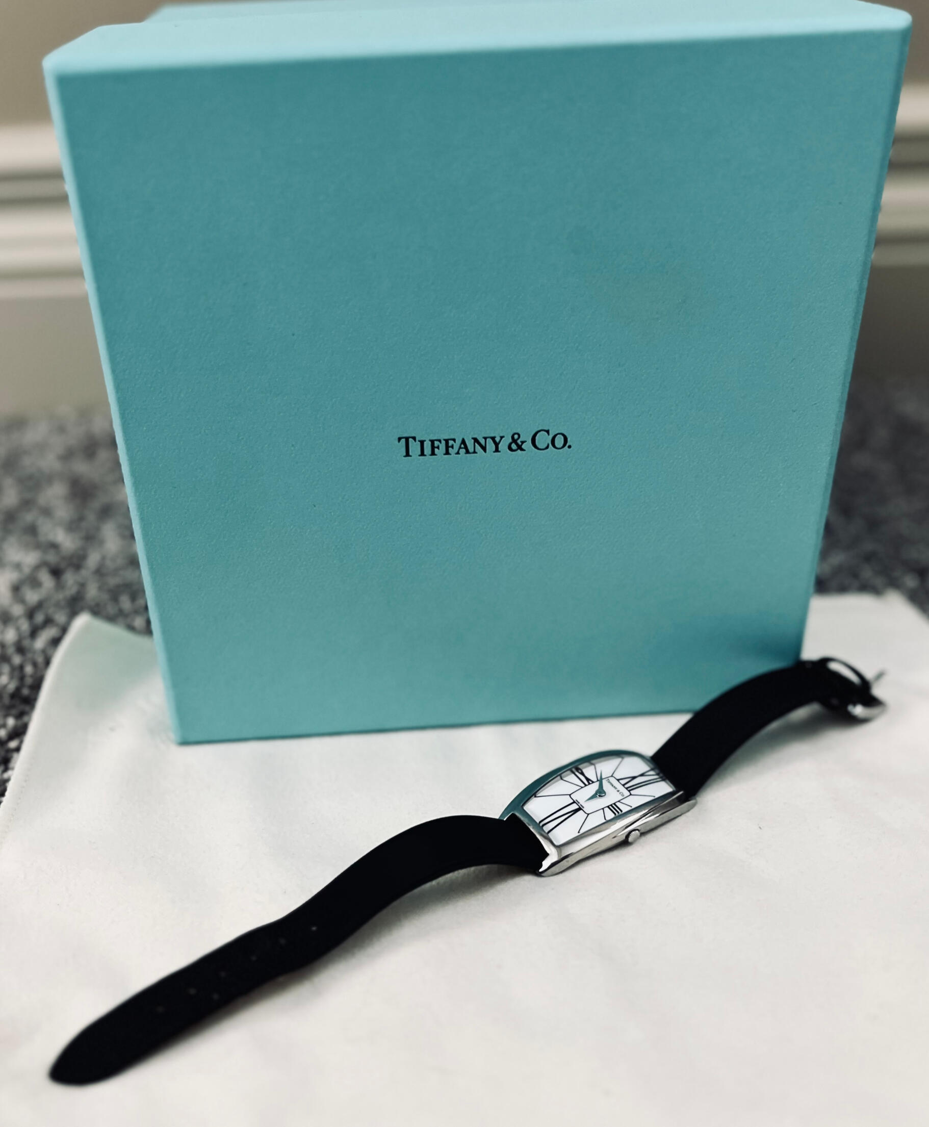 Tiffany & Co. Gemea Steel Watch
