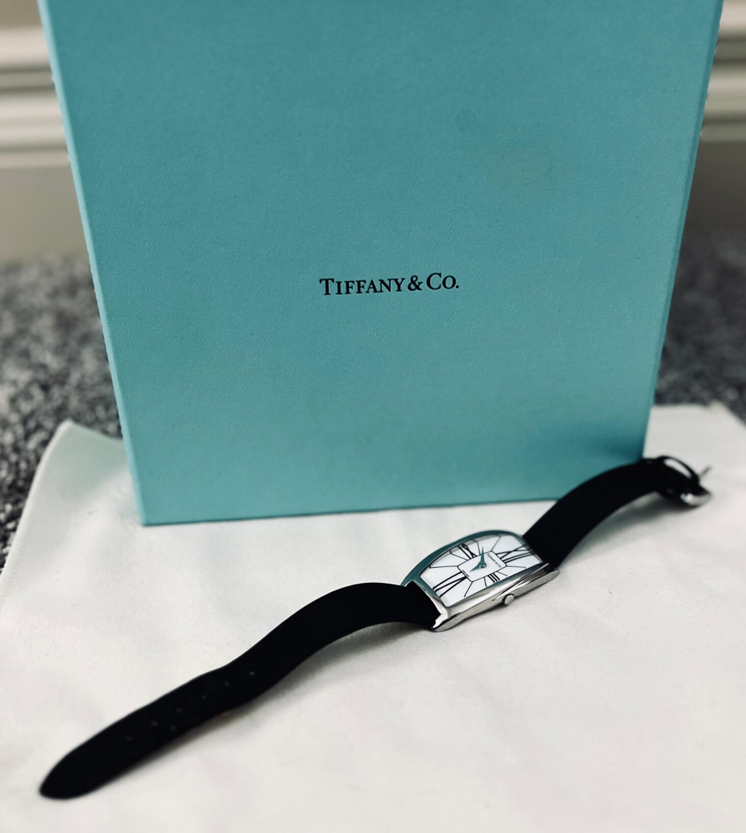 Tiffany & Co. Gemea Steel Watch